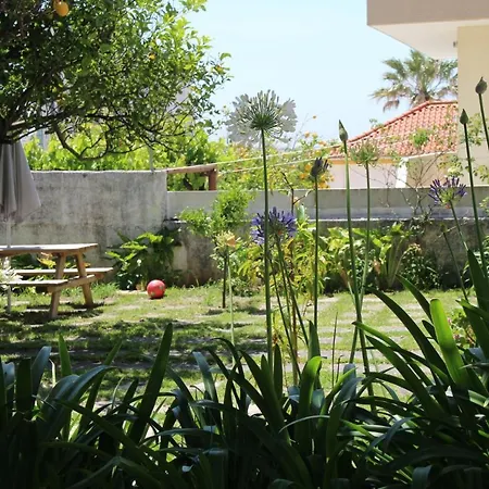 Casa Beluga 3 Figueira da Foz